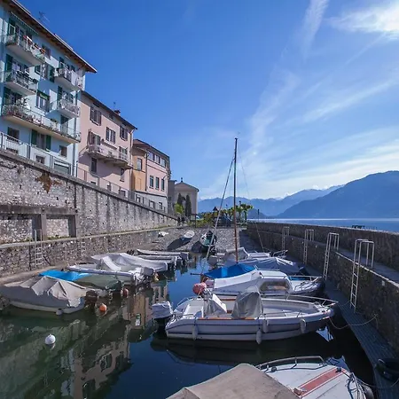 Riva Camelia 1