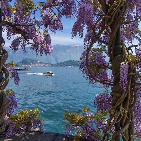 Riva Camelia 1 Appartamento Bellano